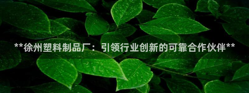 太阳集团游戏城旧版5376：**徐州塑料制品厂：引领行业创新