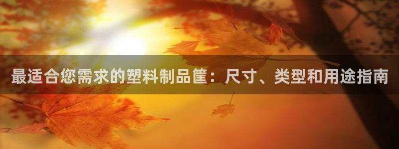 太阳成集团tyc122ccvlp：最适合您需求的塑料制品筐：