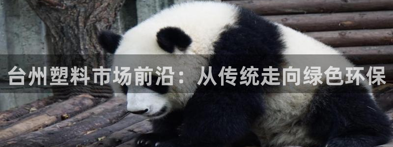 太阳集团游戏官方8722：台州塑料市场前沿：从传统走向绿色环