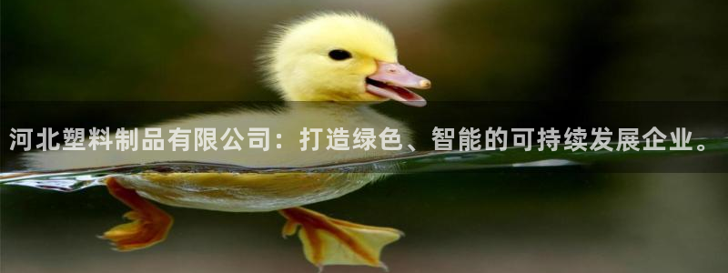 太阳诚集团电影：河北塑料制品有限公司：打造绿色、智能的可持续