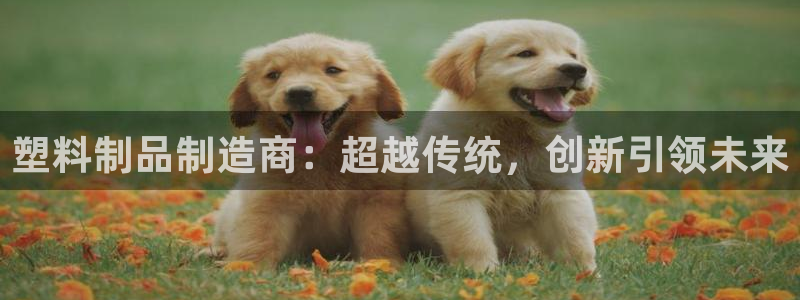 太阳成集团的官方网站：塑料制品制造商：超越传统，创新引领未来