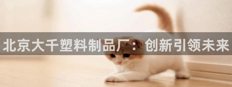 太阳成集团洗米华：北京大千塑料制品厂：创新引领未来