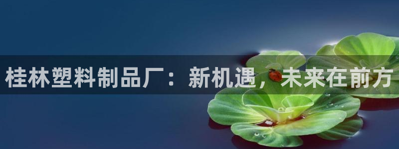 太阳集团游戏官方网址8827：桂林塑料制品厂：新机遇，未来在