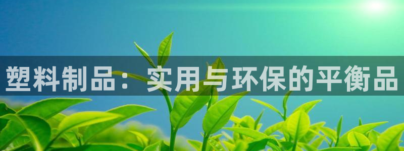 太阳老板身价：塑料制品：实用与环保的平衡品
