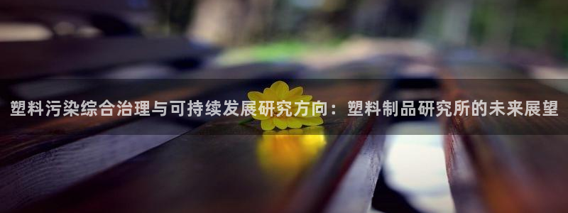 太阳集团城网官方入口：塑料污染综合治理与可持续发展研究方向：