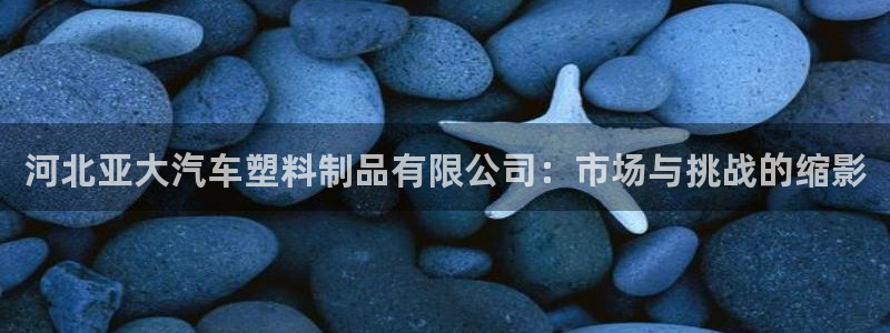 太阳1城集团网址查询：河北亚大汽车塑料制品有限公司：市场与挑