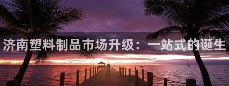 太阳集团2018登录网址查询：济南塑料制品市场升级：一站式的