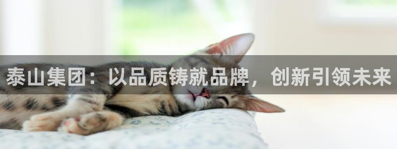 太阳成集团网址：泰山集团：以品质铸就品牌，创新引领未来