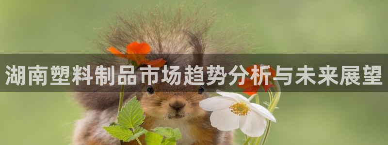太阳gg平台登陆：湖南塑料制品市场趋势分析与未来展望