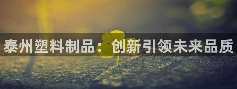 太阳集团注册：泰州塑料制品：创新引领未来品质