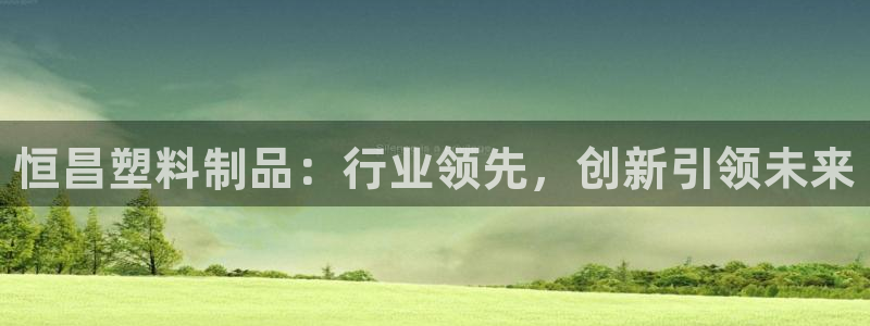 ag太阳集团：恒昌塑料制品：行业领先，创新引领未来