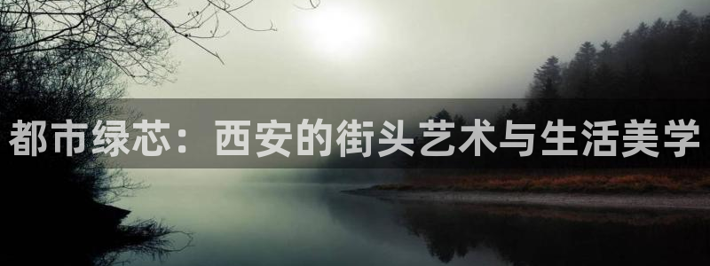 太阳贵宾城：都市绿芯：西安的街头艺术与生活美学