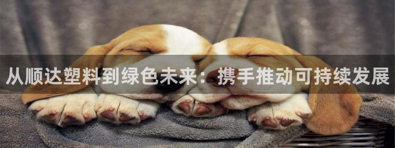 太阳集团网站入口官网：从顺达塑料到绿色未来：携手推动可持续发