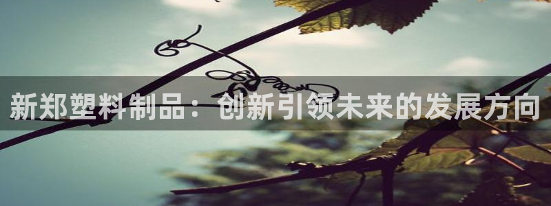 太阳集团游戏网址：新郑塑料制品：创新引领未来的发展方向