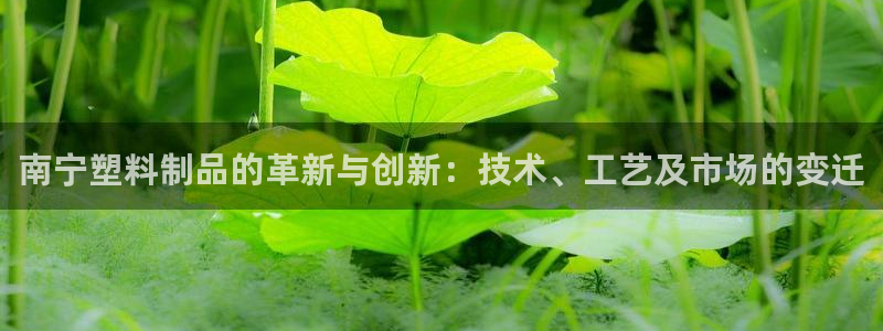 太阳成娱乐app下载：南宁塑料制品的革新与创新：技术、工艺及
