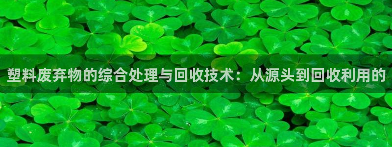 太阳gg打不开了吗：塑料废弃物的综合处理与回收技术：从源头到
