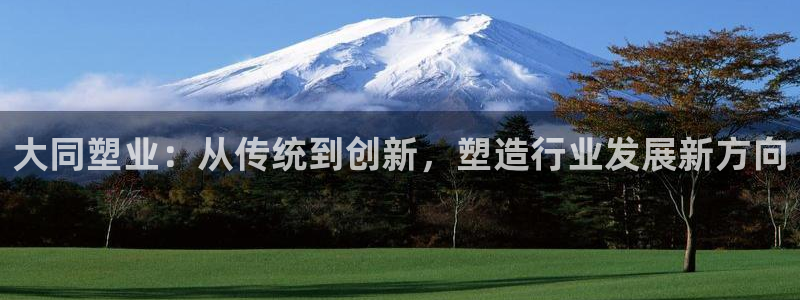 太阳集团在国内三个分公司：大同塑业：从传统到创新，塑造行业发