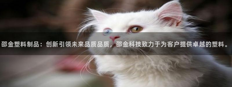 古天乐代言澳门太阳是真的吗：邵金塑料制品：创新引领未来品质品