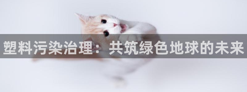 太阳集团控股有限公司：塑料污染治理：共筑绿色地球的未来