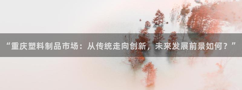 太阳1城集团网址：“重庆塑料制品市场：从传统走向创新，未来发