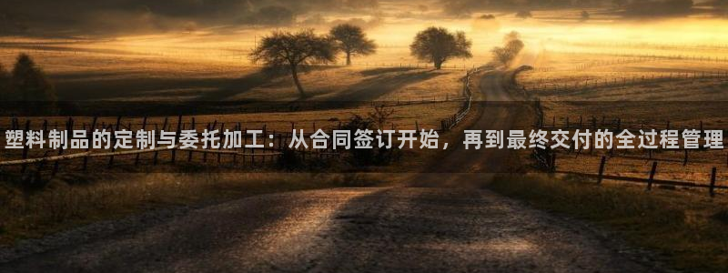 太阳集团所有网址16877：塑料制品的定制与委托加工：从合同
