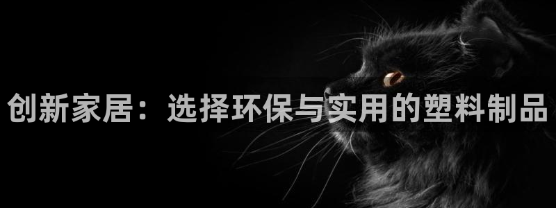太阳集团游戏城(138)官方网址：创新家居：选择环保与实用的