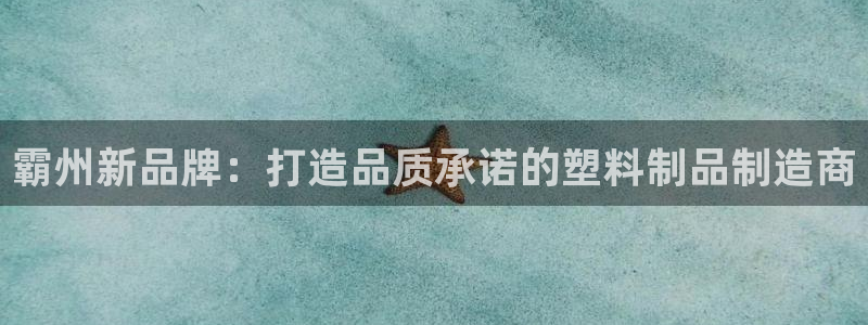 太阳集团是什么公司：霸州新品牌：打造品质承诺的塑料制品制造商