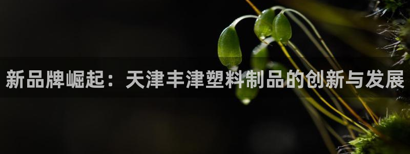 太阳集团官网：新品牌崛起：天津丰津塑料制品的创新与发展