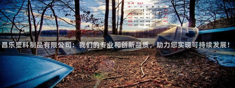 太阳集团2018登录网址：昌乐塑料制品有限公司：我们的专业和