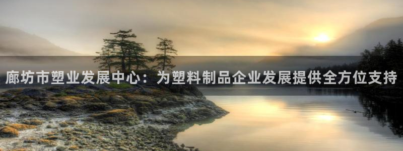 太阳集团是什么公司：廊坊市塑业发展中心：为塑料制品企业发展提