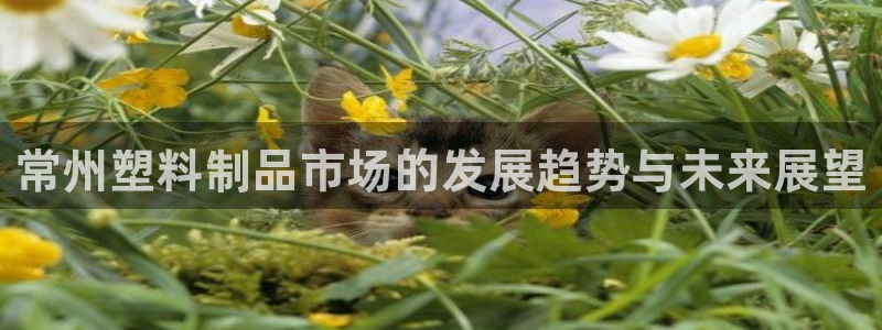 太阳集团城注册就送38welcome：常州塑料制品市场的发展