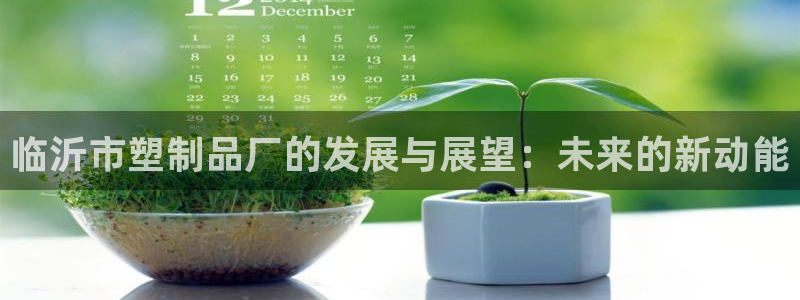 太阳集团不能提现怎么办：临沂市塑制品厂的发展与展望：未来的新