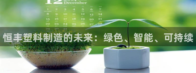 太阳阳城集团：恒丰塑料制造的未来：绿色、智能、可持续