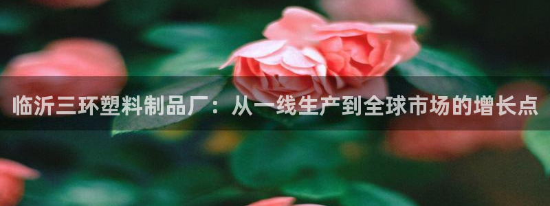 太阳集团官网导航首页：临沂三环塑料制品厂：从一线生产到全球市