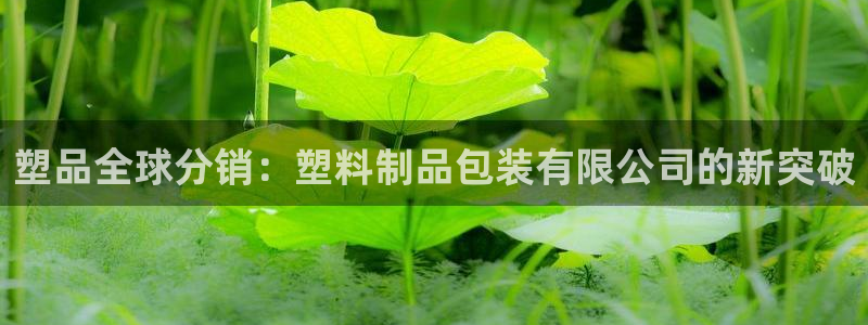 江苏太阳集团冷青松：塑品全球分销：塑料制品包装有限公司的新突