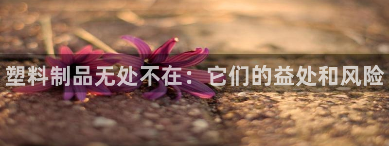 太阳集团电子游戏如何赚钱：塑料制品无处不在：它们的益处和风险