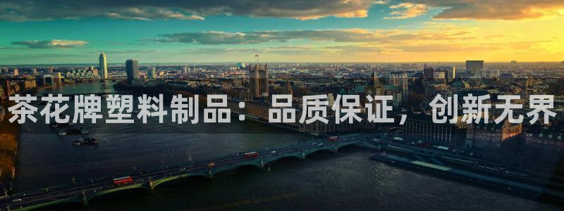 太阳集团城2017：茶花牌塑料制品：品质保证，创新无界