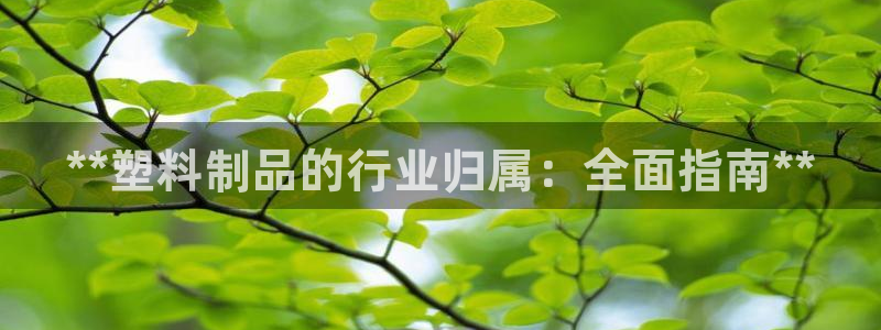 太阳成集团控股买购网：**塑料制品的行业归属：全面指南**