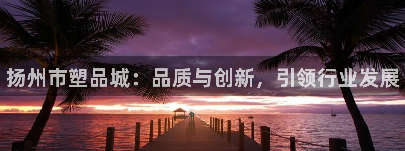 太阳成集团tyc122cc下载：扬州市塑品城：品质与创新，引