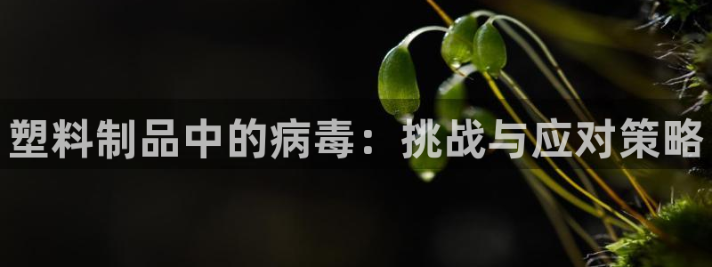 太阳集团唯一值得信赖网：塑料制品中的病毒：挑战与应对策略