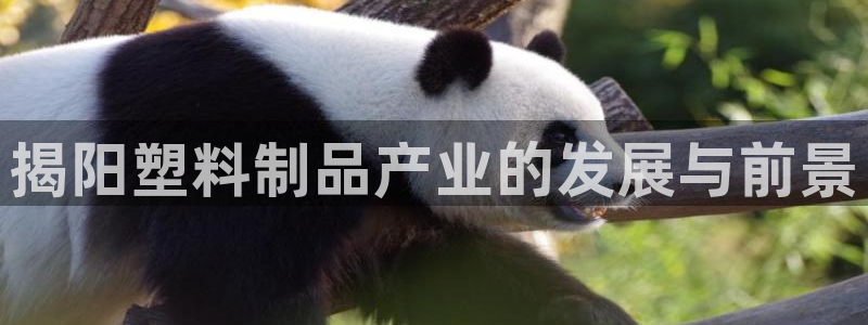 太阳app网页版：揭阳塑料制品产业的发展与前景