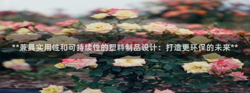 太阳影视公司：**兼具实用性和可持续性的塑料制品设计：打造更