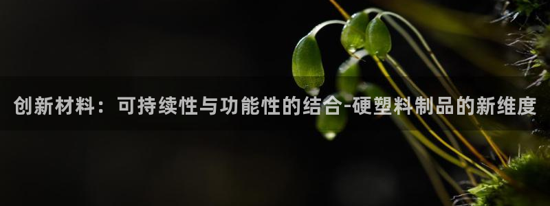 太阳集团注册就送38：创新材料：可持续性与功能性的结合-硬塑