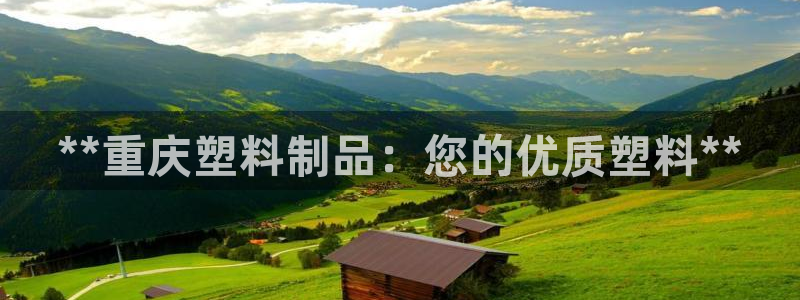 太阳gg官网登录：**重庆塑料制品：您的优质塑料**
