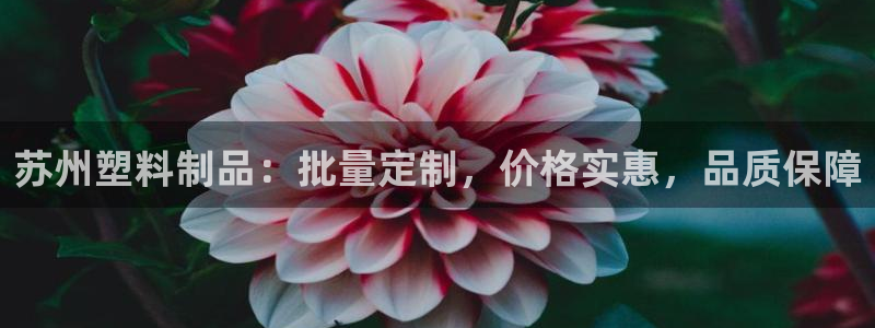 太阳集团app：苏州塑料制品：批量定制，价格实惠，品质保障