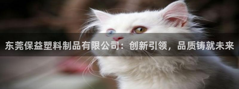 太阳gg娱选_2o5o26：东莞保益塑料制品有限公司：创新引