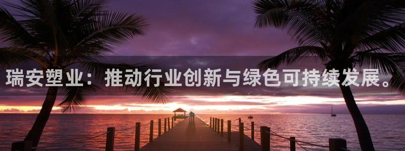 太阳c集团：瑞安塑业：推动行业创新与绿色可持续发展。