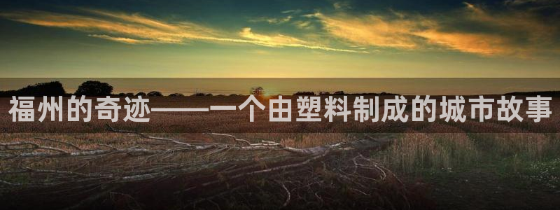 太阳集团网站：福州的奇迹——一个由塑料制成的城市故事