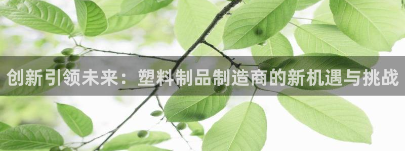 太阳1城集团网址是多少：创新引领未来：塑料制品制造商的新机遇