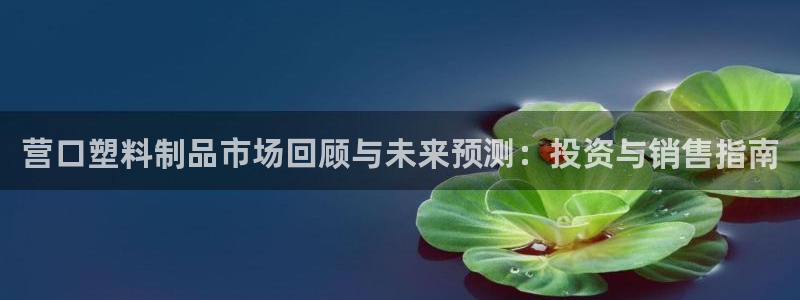 太阳集团下载链接app：营口塑料制品市场回顾与未来预测：投资